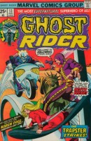 Ghost Rider Vol. 1 #13